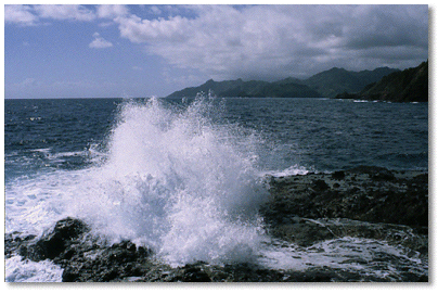 Prevailing easterly trade winds bring moisture and rough seas to Dominica's east coast