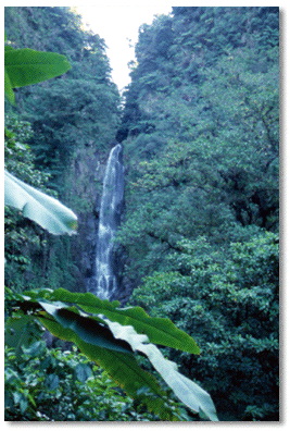 Mountain stream waterfall