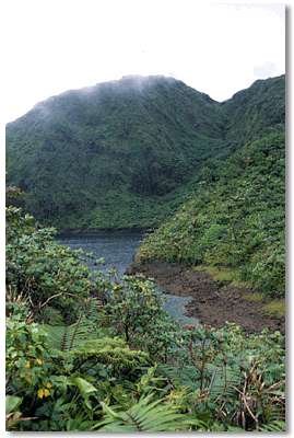 Outlet stream from Boeri Lake
