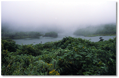 High rainfall and abundant cloud cover keep Freshwater Lake's water levels high year round