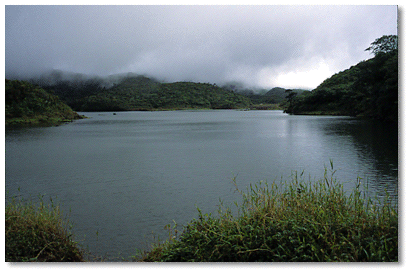 Steady high water levels, low bank incline allows littoral vegetation to grow