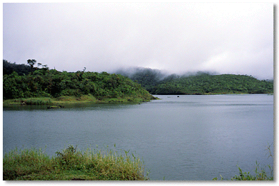 Steady high water levels, low bank incline allows littoral vegetation to grow
