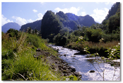 An upper section of the Rouseau River