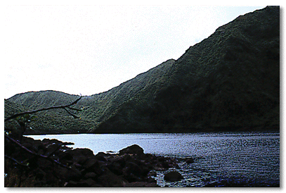 Cut along shore-line of Boeri Lake shows high water level after rainy season 