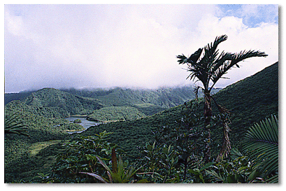 View of Freshwater Lake from trail