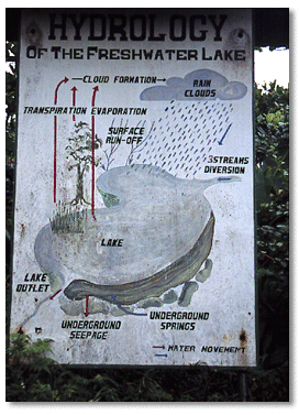 Hydrology of Freshwater Lake