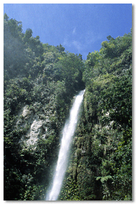 Water drops 275 ft. in elevation at the spectacular Middleham Falls