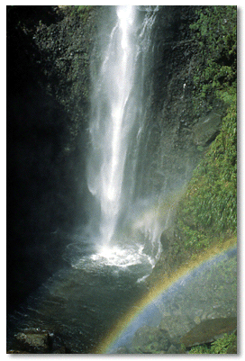 Water drops 275 ft. in elevation at the spectacular Middleham Falls