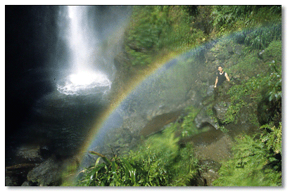 Water drops 275 ft. in elevation at the spectacular Middleham Falls