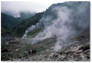 Fumeroles venting steam in the Valley of Desolation