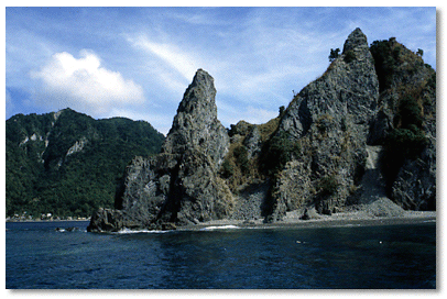 Scotts Head, snorkelers in forground over reef area