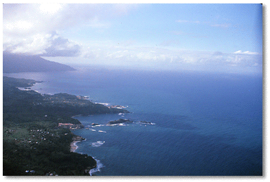 Littoral forest forms a narrow vegetativezone along the eastern Atlantic coast