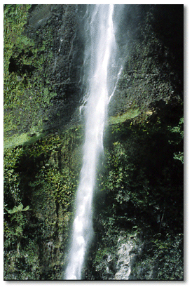 Water drops 275 ft. in elevation at the spectacular Middleham Falls