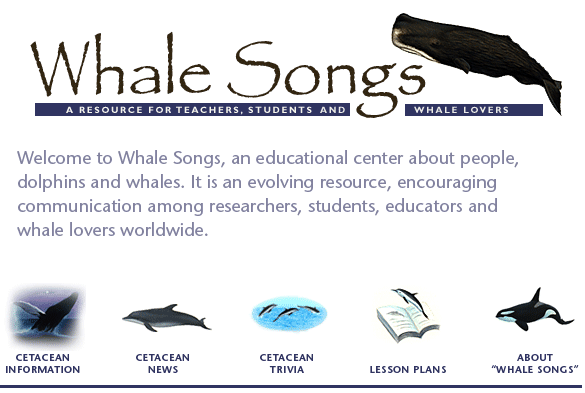 Whale Songs