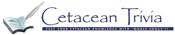 Cetacean Trivia