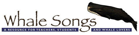 Whale Songs